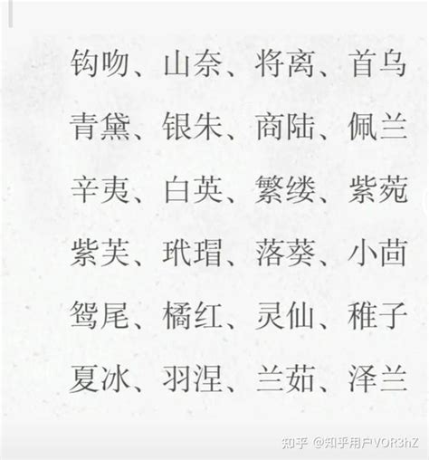 好聽名字|取中文名字